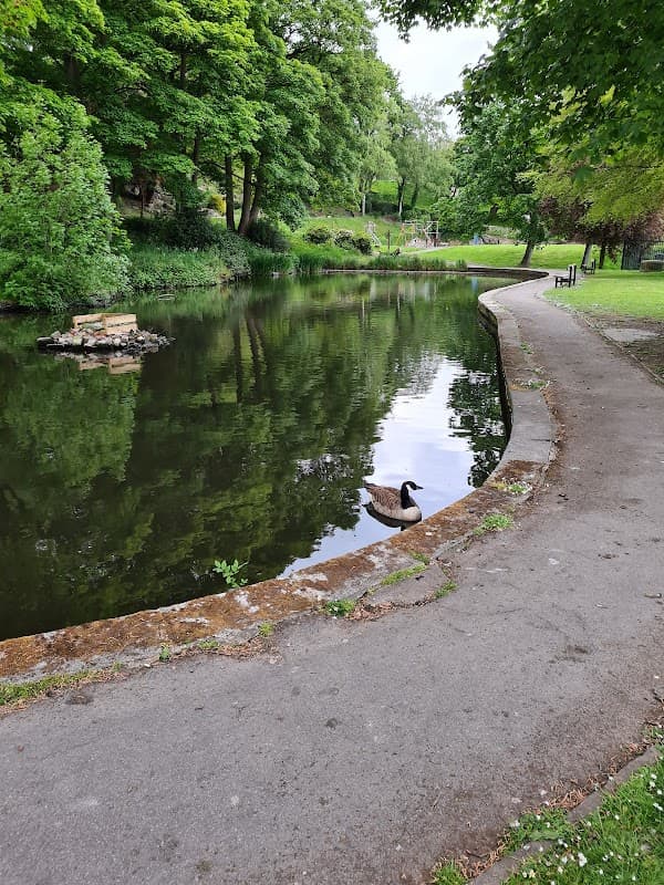Serene park scene with a pond, lush trees, and a lone duck by the water's edge along a winding path.