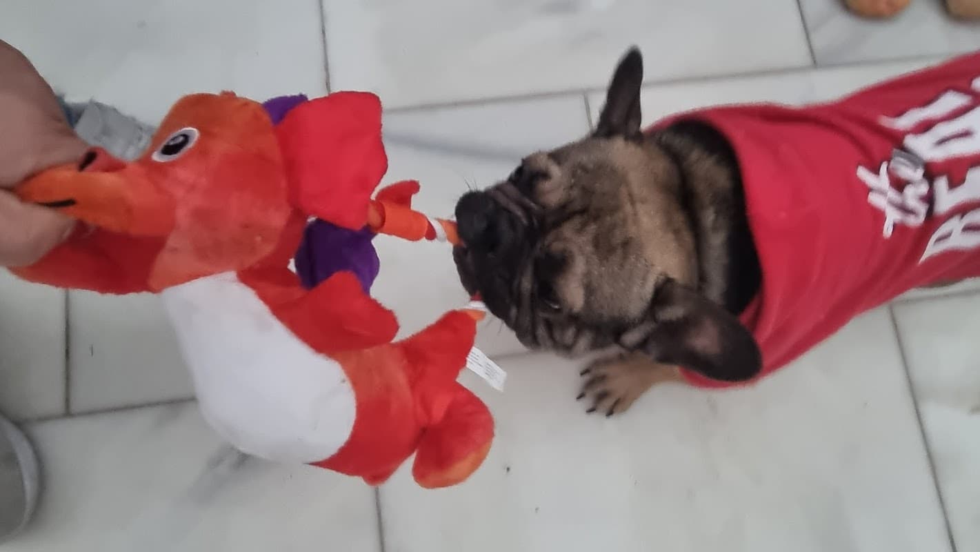 Bark n Bite - Pet Shops in huddersfield