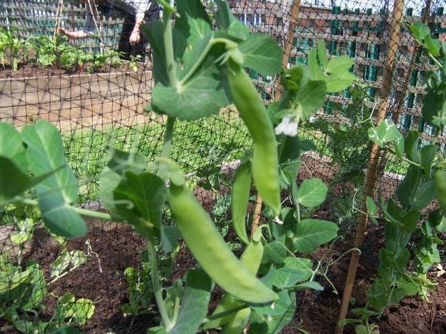 Moor End Academy - Secondary Schools in huddersfield