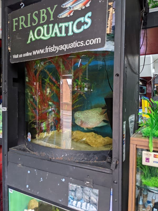 Frisby Aquatics - Pet Shops in hull