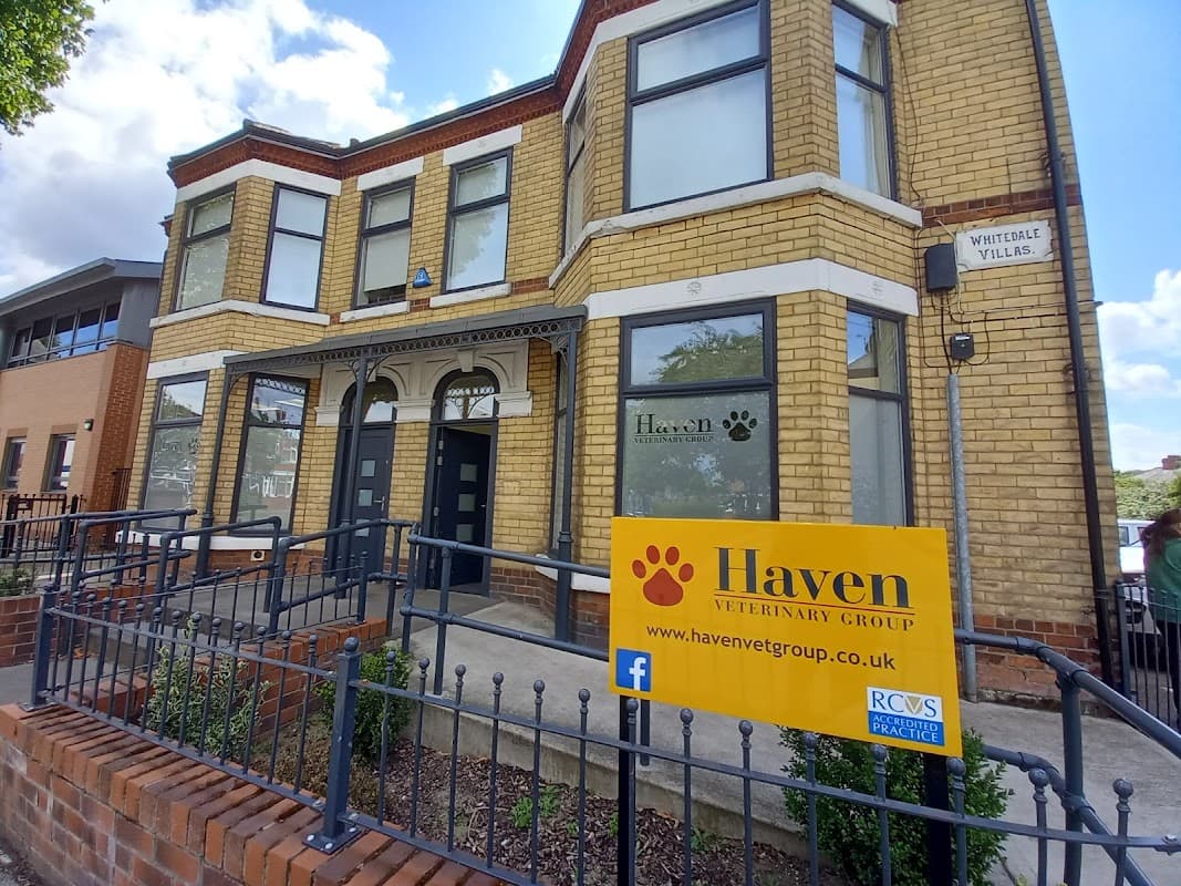 Haven Veterinary Group, Hull - Vets in hull