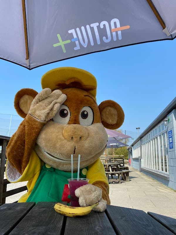 Little Monkeys @ Active+ - Playgrounds in hull