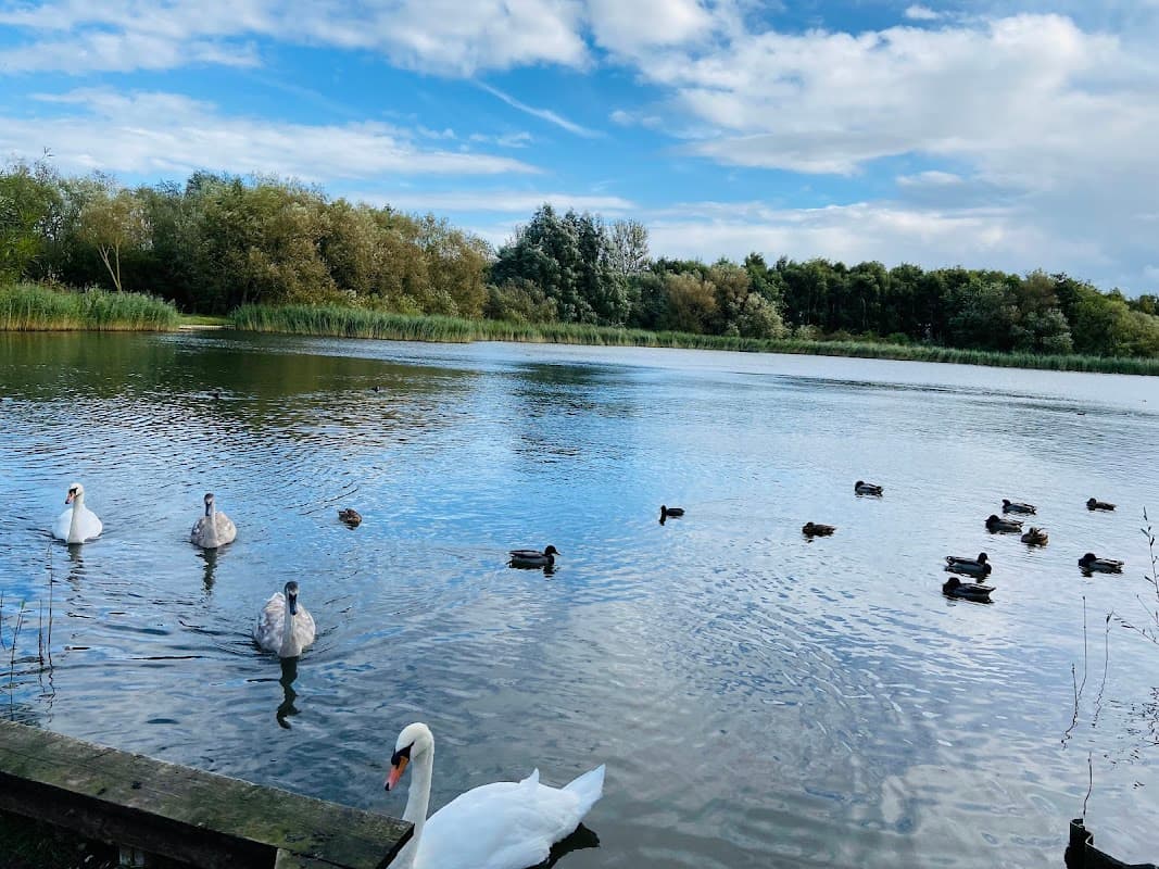 Oak Road Playing Fields - Park in hull