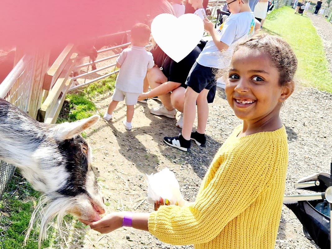 Parks Family Hub - Community Centres in hull