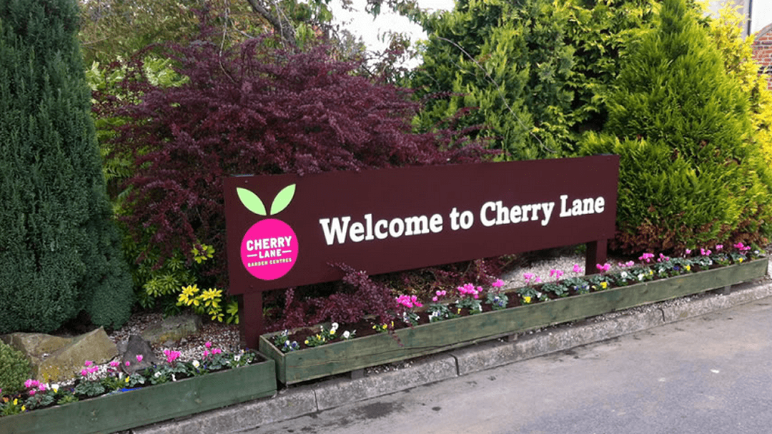 Sign welcoming visitors to Cherry Lane, surrounded by colorful flowers and lush greenery.