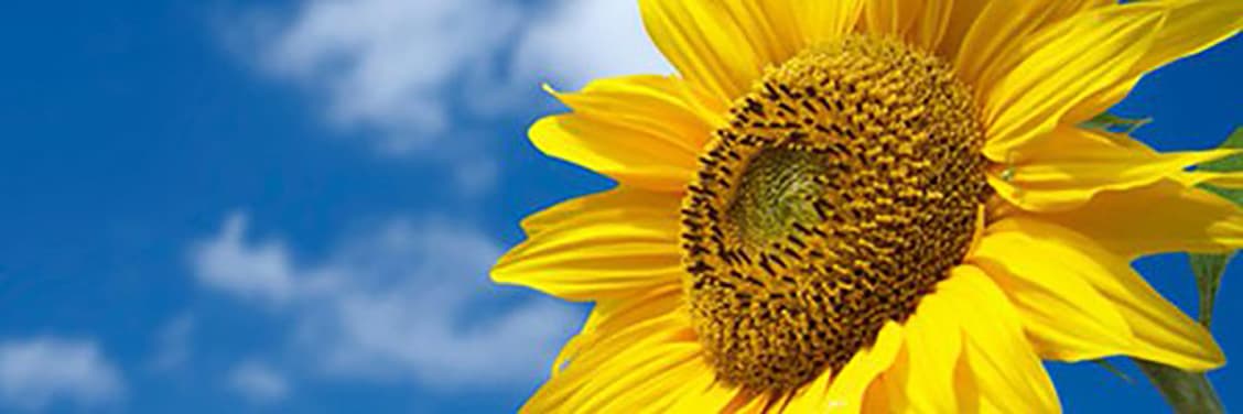 Heslop & Platt French Law Specialists - Solicitors in hunslet