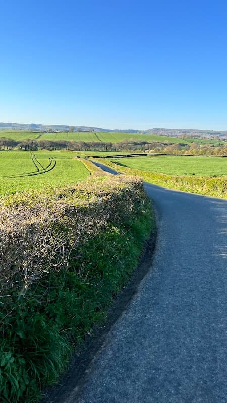 A winding road through lush green fields under a clear blue sky in Husthwaite, Yorkshire.