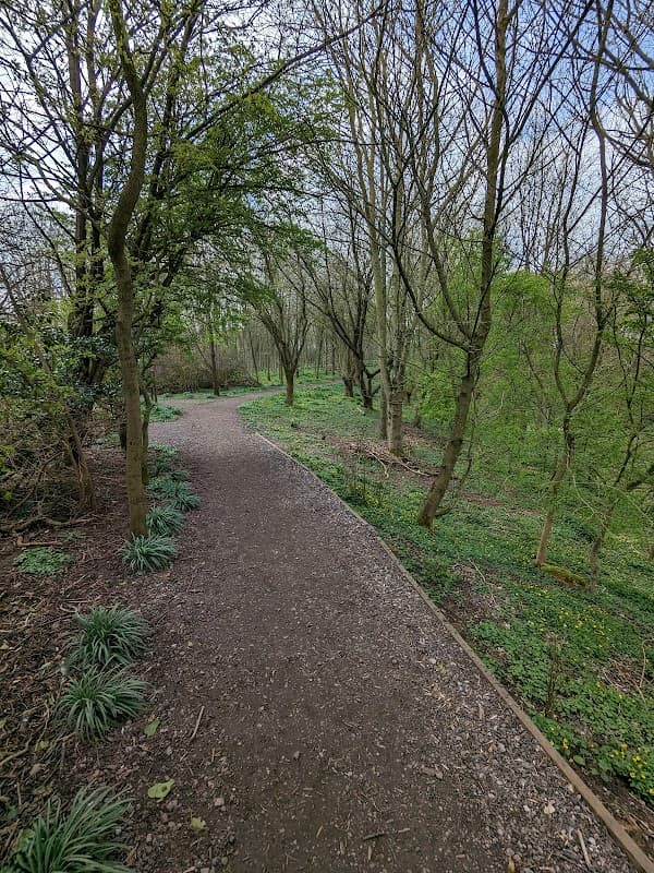 A winding path through a wooded area with bare trees and green foliage in Hutton Cranswick, Yorkshire.