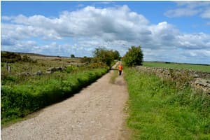 Jelley Legs - Guided Runs - Activity in studley roger