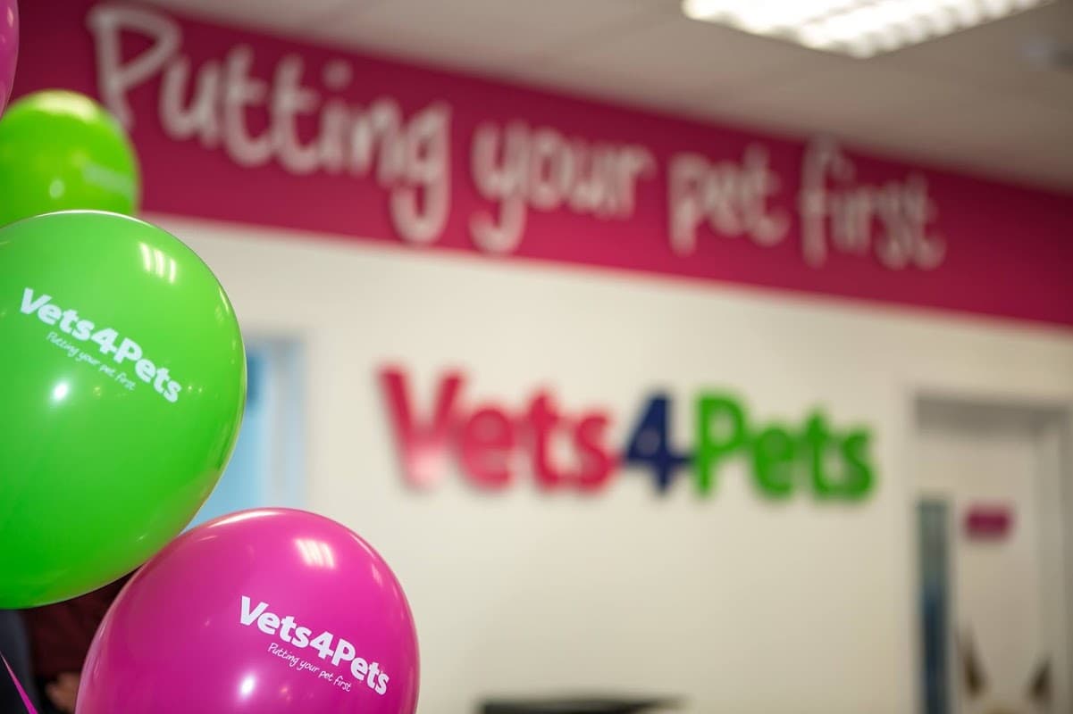 Vets4Pets - Keighley - Vets in keighley