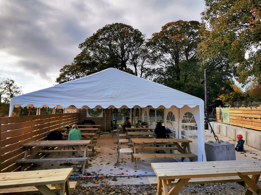 White tent with wooden benches, surrounded by trees, patrons seated, autumn leaves scattered on the ground.