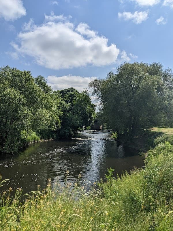 Serene river flowing through lush greenery under a blue sky with fluffy clouds at Kilnhurst Ings Nature Reserve.