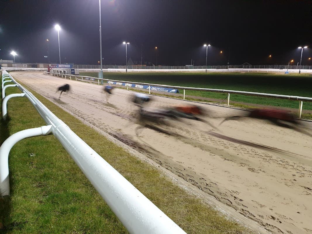 Greyhounds racing on a sandy track at night, illuminated by bright stadium lights, with a grassy area on the side.