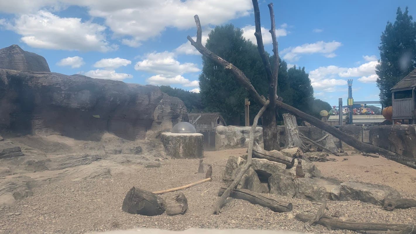 A sandy play area with rocks, logs, and a transparent dome under a blue sky with fluffy clouds.