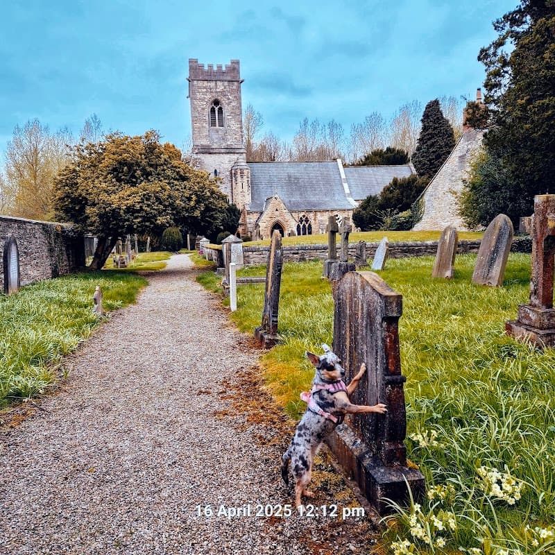 A dog stands by a gravestone in a churchyard, with St John the Baptist Church and trees in the background.