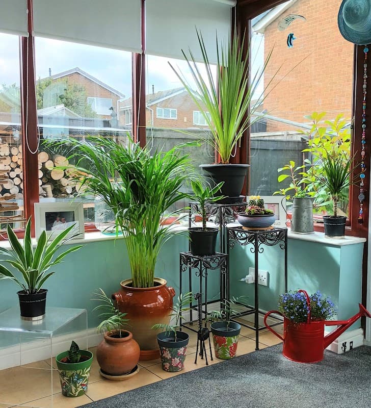 Tony Popek Antique Furniture Dealer - Antique Shops in kirkbymoorside