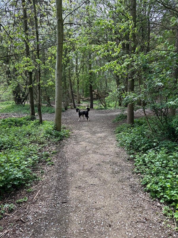 Hopewell Dog Park - Park in knaresborough