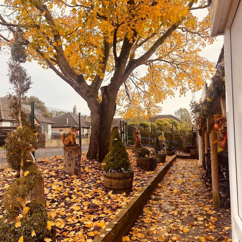 Natures Little Learners - Starbeck - Nurseries in knaresborough