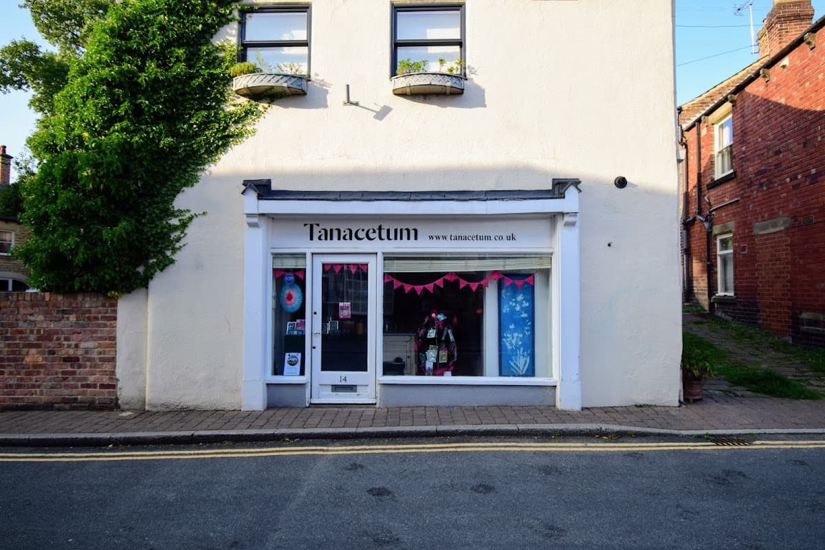 Tanacetum - Gallery in knaresborough