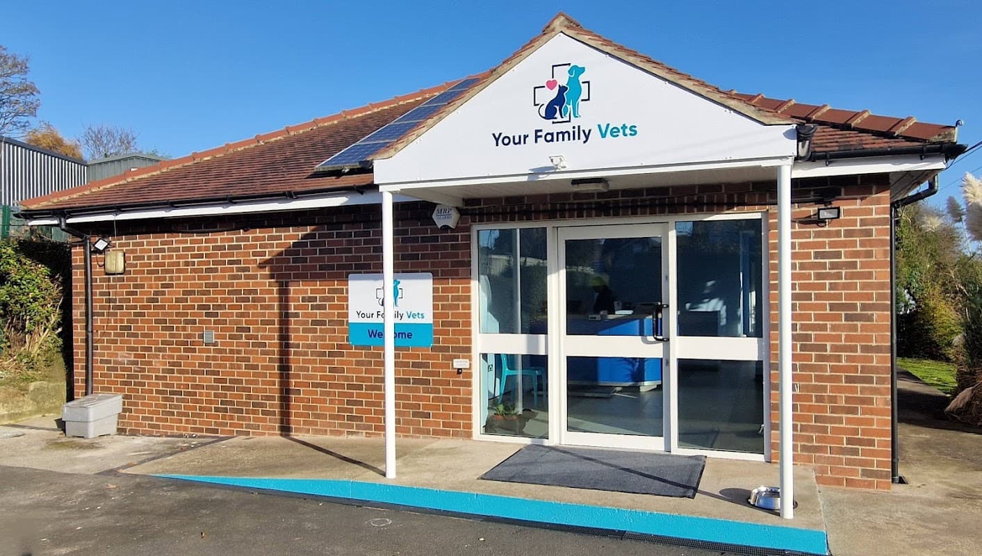 Your Family Vets – Independent Vets Harrogate & Knaresborough - Vets in knaresborough