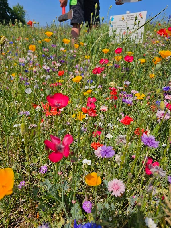 Aysgarth Walk Park - Park in knowsthorpe