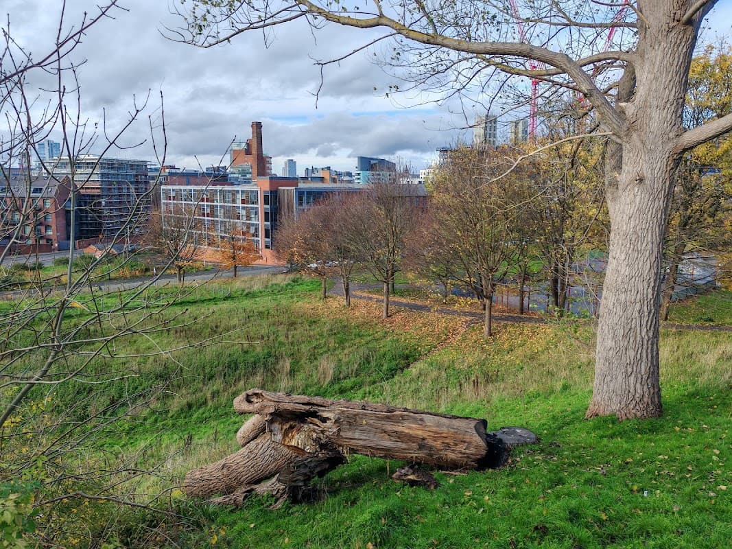 The Old Park - Park in knowsthorpe