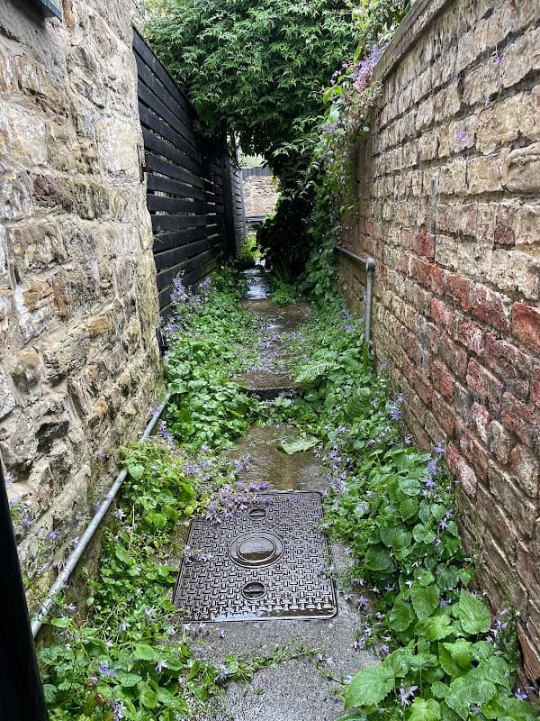 Narrow stone pathway lined with lush greenery and purple flowers, leading through a charming cottage area.