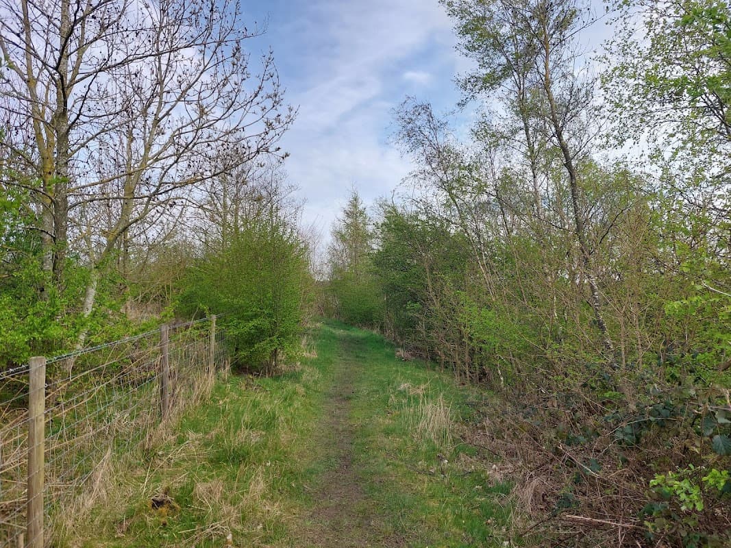 Narrow grassy path through lush greenery and trees at YWT Ledston Luck Nature Reserve in Yorkshire.