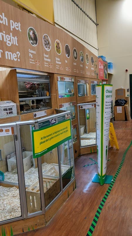 Pet shop display with various animal enclosures, signs about pet care, and a green "Choose your pet" information stand.