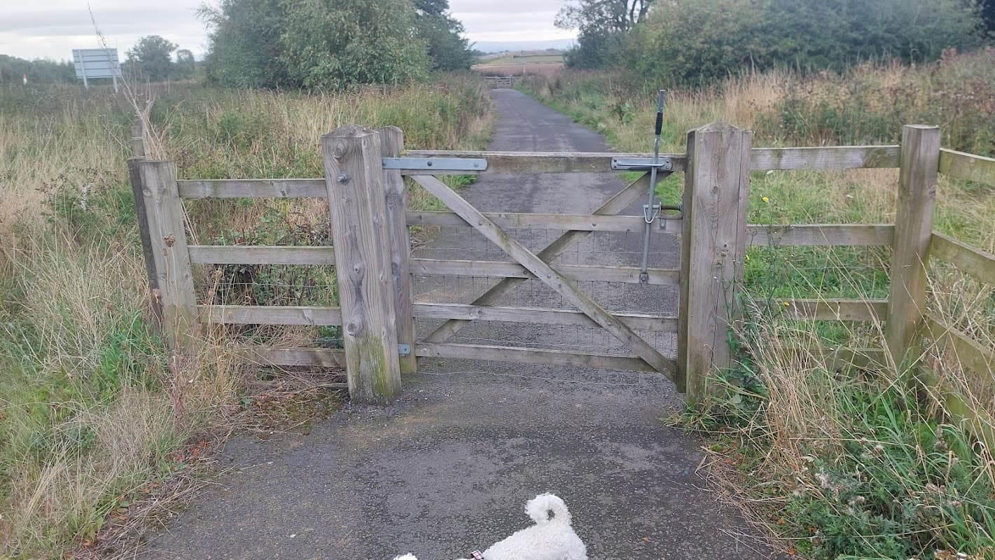 Wooden gate leading to a path, surrounded by tall grass and trees in Leeming Bar Dog Park, Yorkshire.