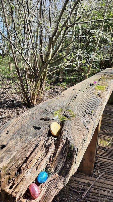 Colorful chocolate eggs nestled on a weathered wooden bench, surrounded by budding greenery in Leven Nature Park.