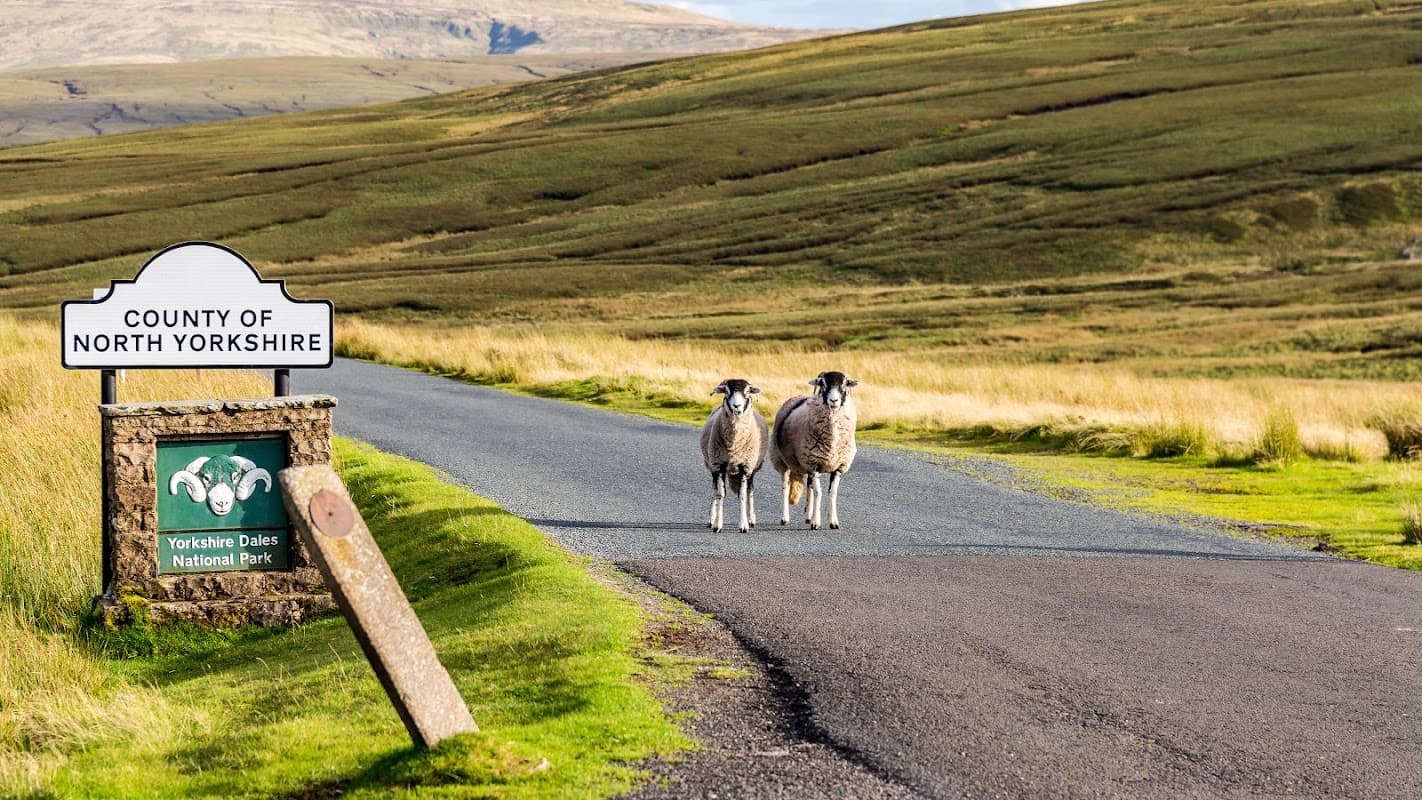 Scotts Wright Solicitors - Leyburn - Solicitors in leyburn