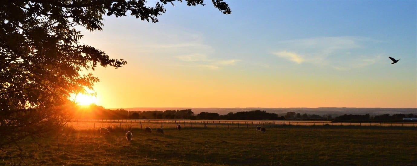 Lime Tree Cottage - Attraction in sherburn north yorkshire