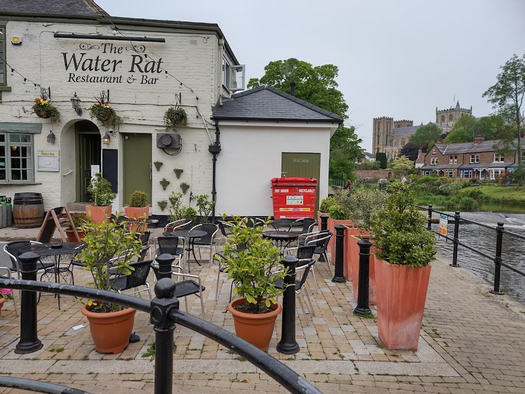 The Water Rat bar with outdoor seating, potted plants, and a view of a church in the background by the river.