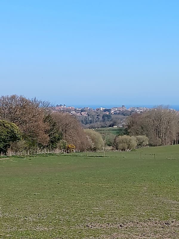 Monks farm caravan site - Campsite in low hawsker