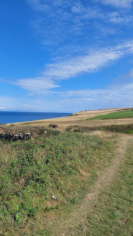 Lush green fields lead to a blue sea under a bright sky, with rocky outcrops in the distance at Swan Farm, Low Hawsker.