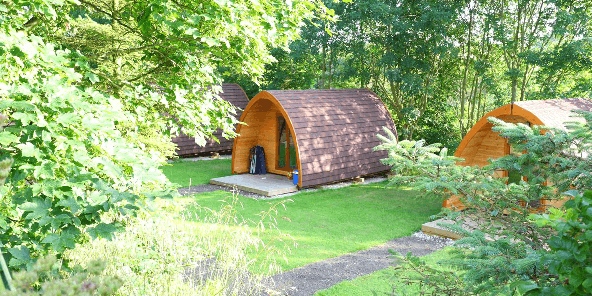 Wooden camping pods nestled in lush greenery at York House Caravan Park, surrounded by trees and well-maintained grass.