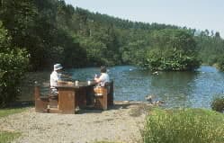 Low Staindale at Dalby Forest - Park in allerston