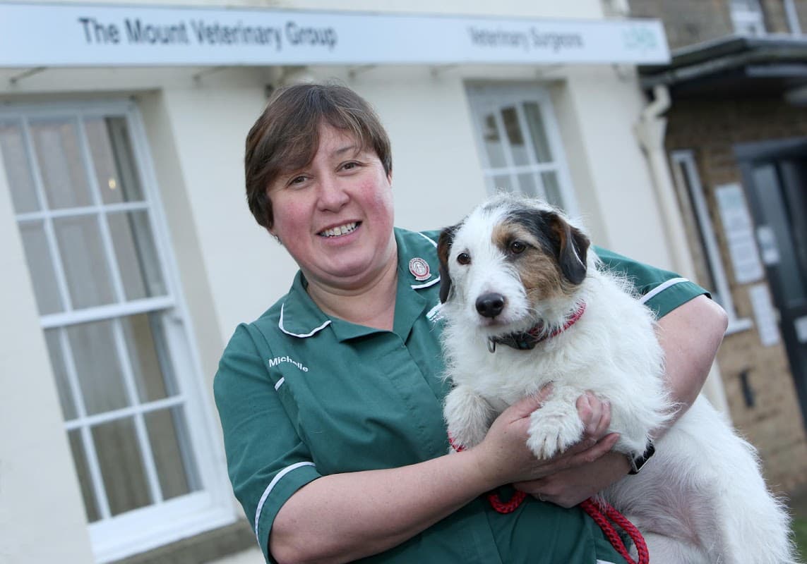 The Minster Veterinary Practice, Mount Branch - Vets in malton