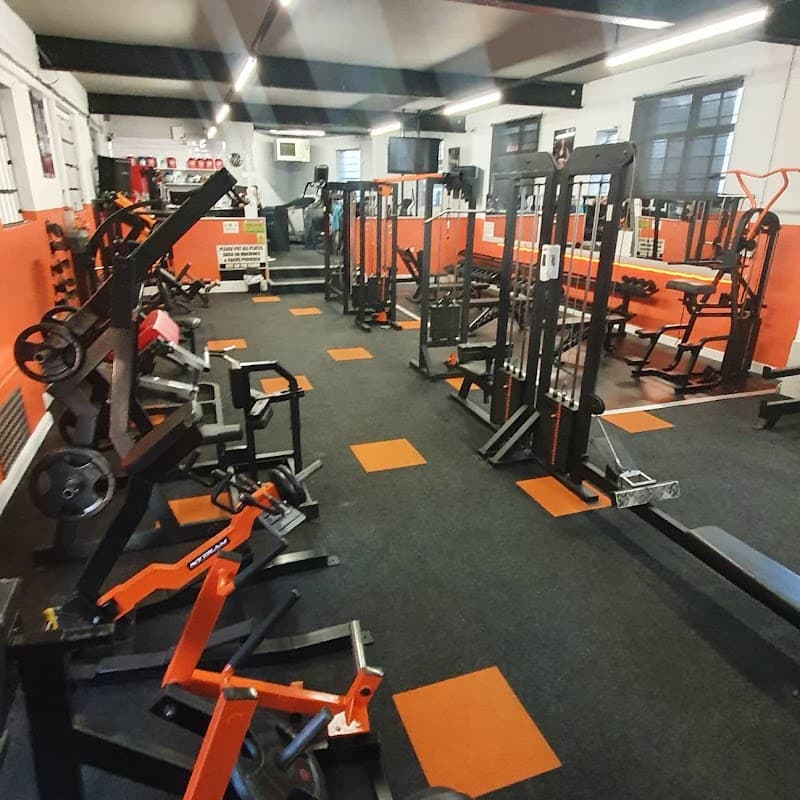 Muscle Madness Bodybuilding and fitness gym Ltd - Gyms in manor