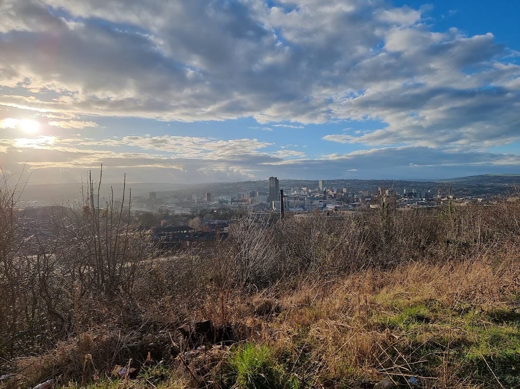 Sky Edge Playing Fields - Park in manor