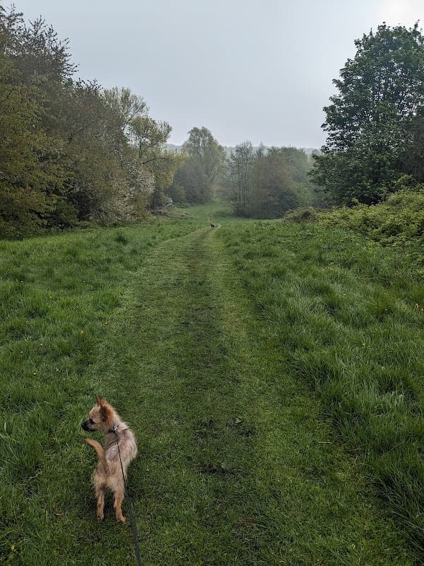 Woodthorpe Ravine - Park in manor