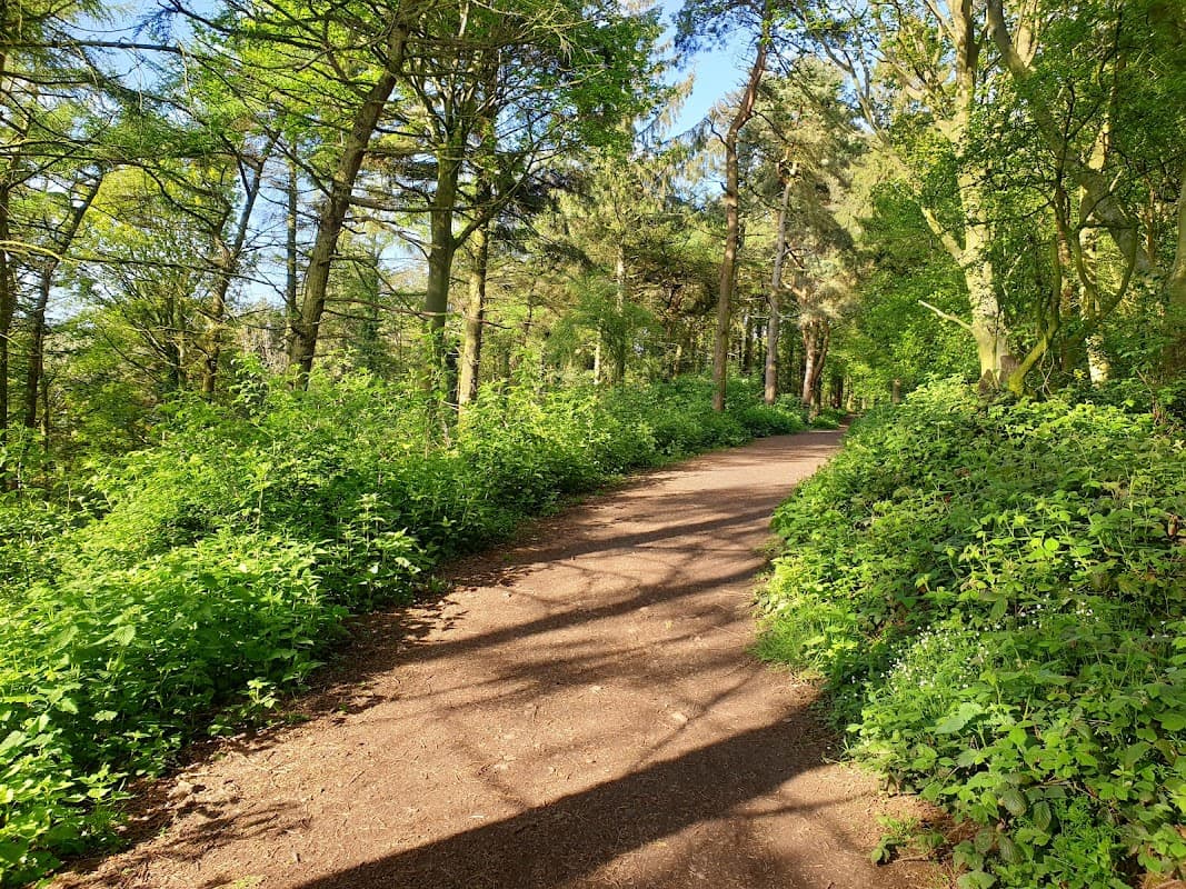 Errington Wood - Park in marske