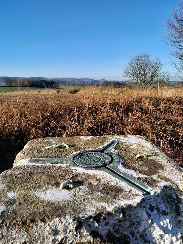 Errington Woods Trig point - Historic Site in marske