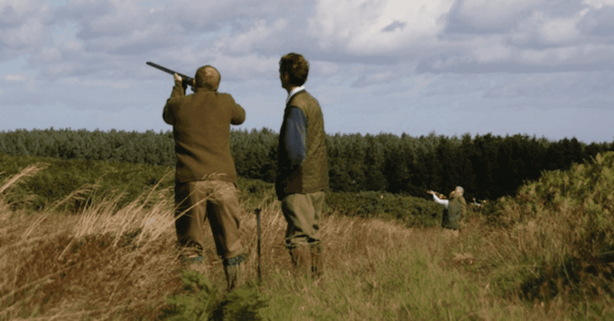 The Big Shoot - Sports Venue in masham