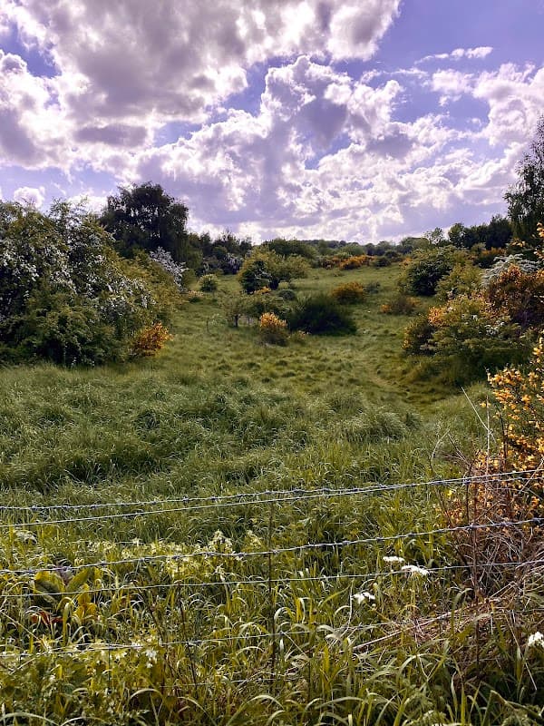 Bus Stop at Wath Road/Highwoods Road - Bus Stops in mexborough