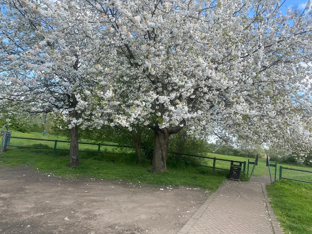 Queen Park - Park in mexborough