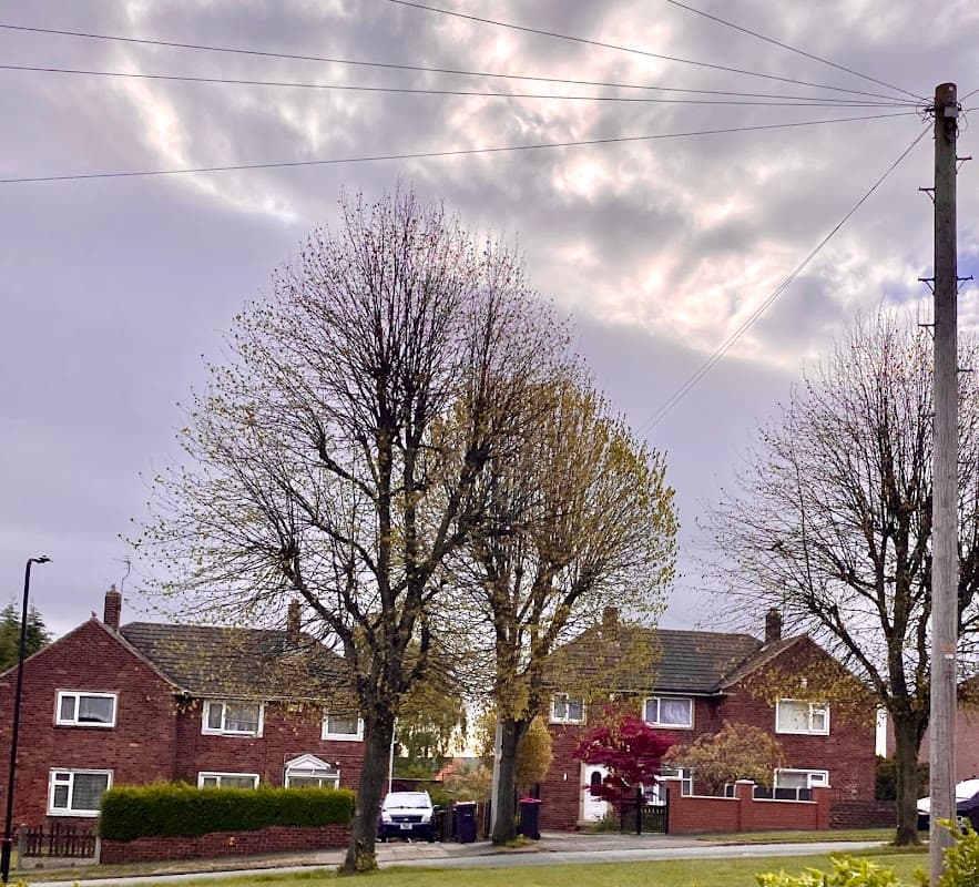 Thomas Street Park - Park in mexborough