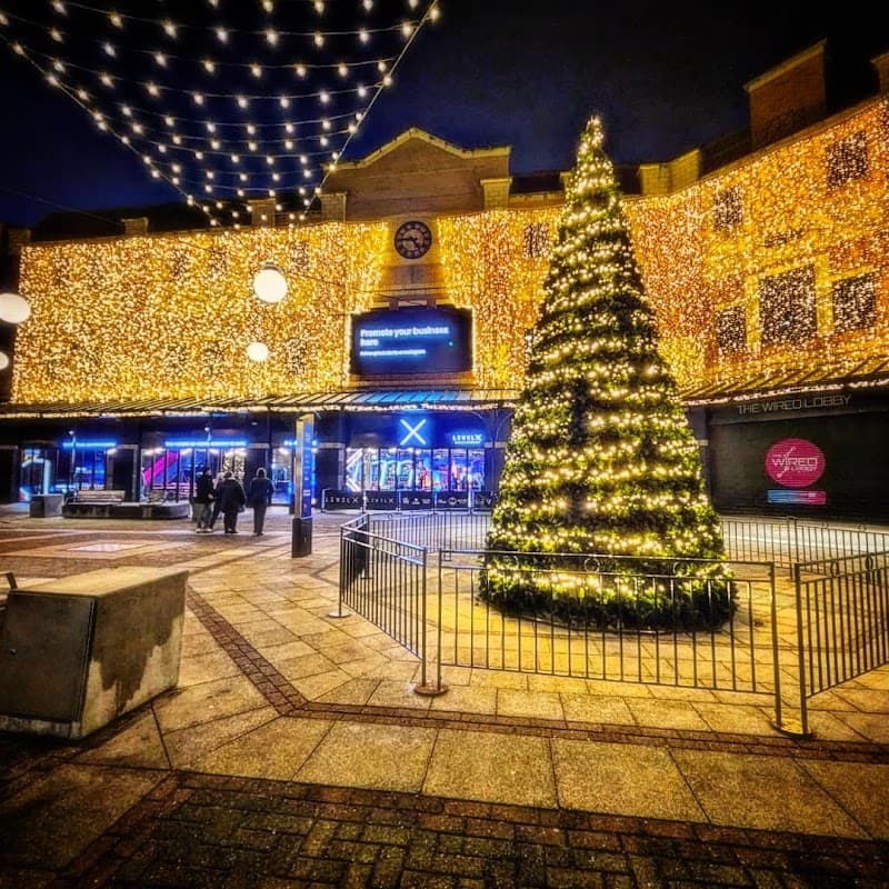 Festive lights illuminate Captain Cook Square, featuring a decorated Christmas tree and bustling visitors.