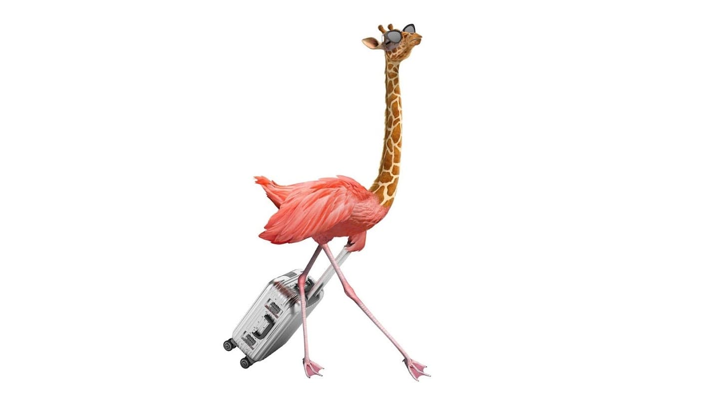 Three - Phone Shops in middlesbrough